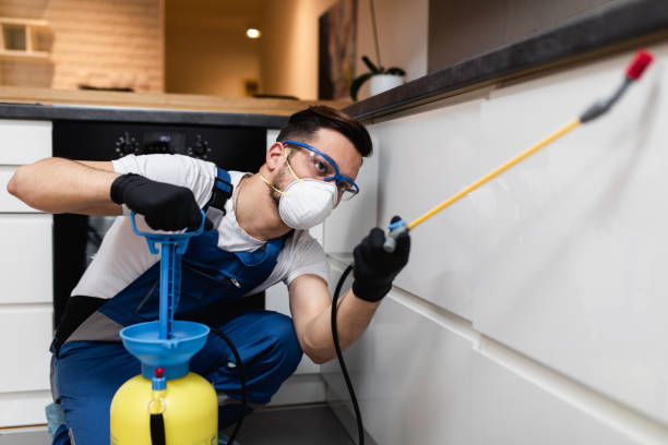 Pest Prevention Services in Brandon, MS