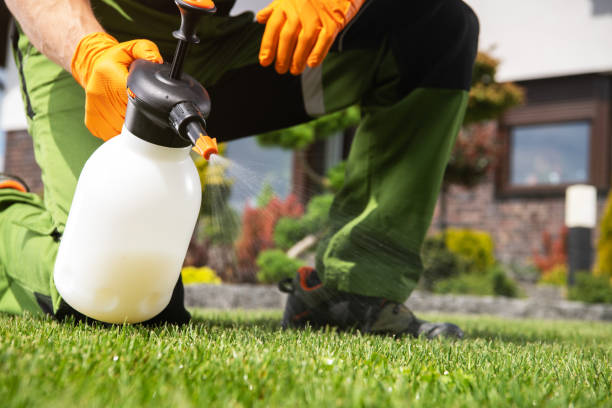 Best Wasp Removal Services  in Brandon, MS