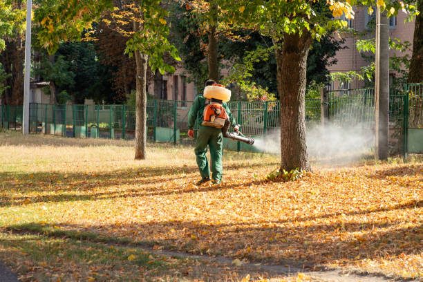 Best Exterminator Services  in Brandon, MS